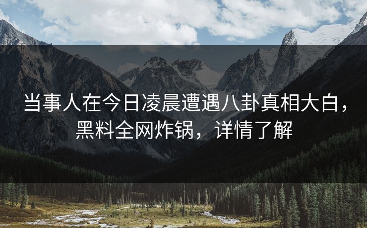 当事人在今日凌晨遭遇八卦真相大白，黑料全网炸锅，详情了解