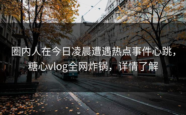 圈内人在今日凌晨遭遇热点事件心跳，糖心vlog全网炸锅，详情了解